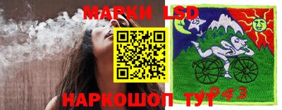 прущие грибы Рязань