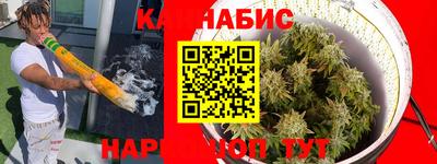 прущие грибы Рязань