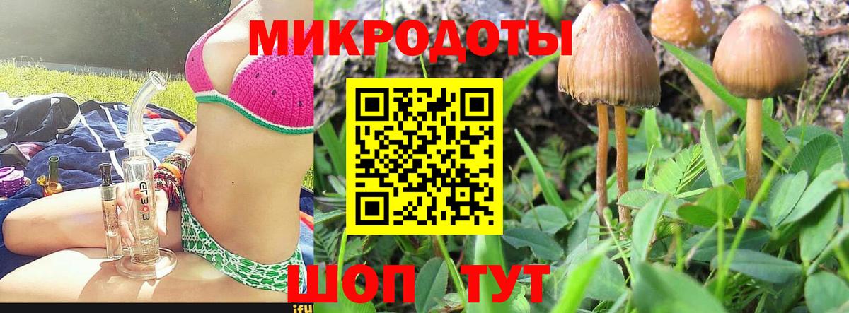 Глазов  Псилоцибиновые грибы MAGIC MUSHROOMS  Псилоцибиновые грибы Psilocybe  Вход с VPN 