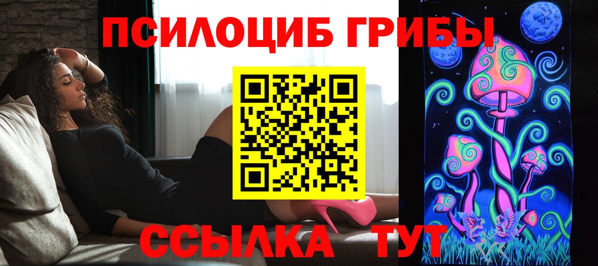 Галлюциногенные грибы Psilocybe Глазов